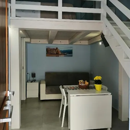 Domus Flo *